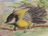 bebemaestro-artworks-36